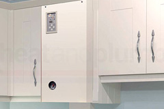 Black Vein electric boiler quotes