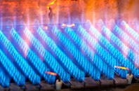 Black Vein gas fired boilers